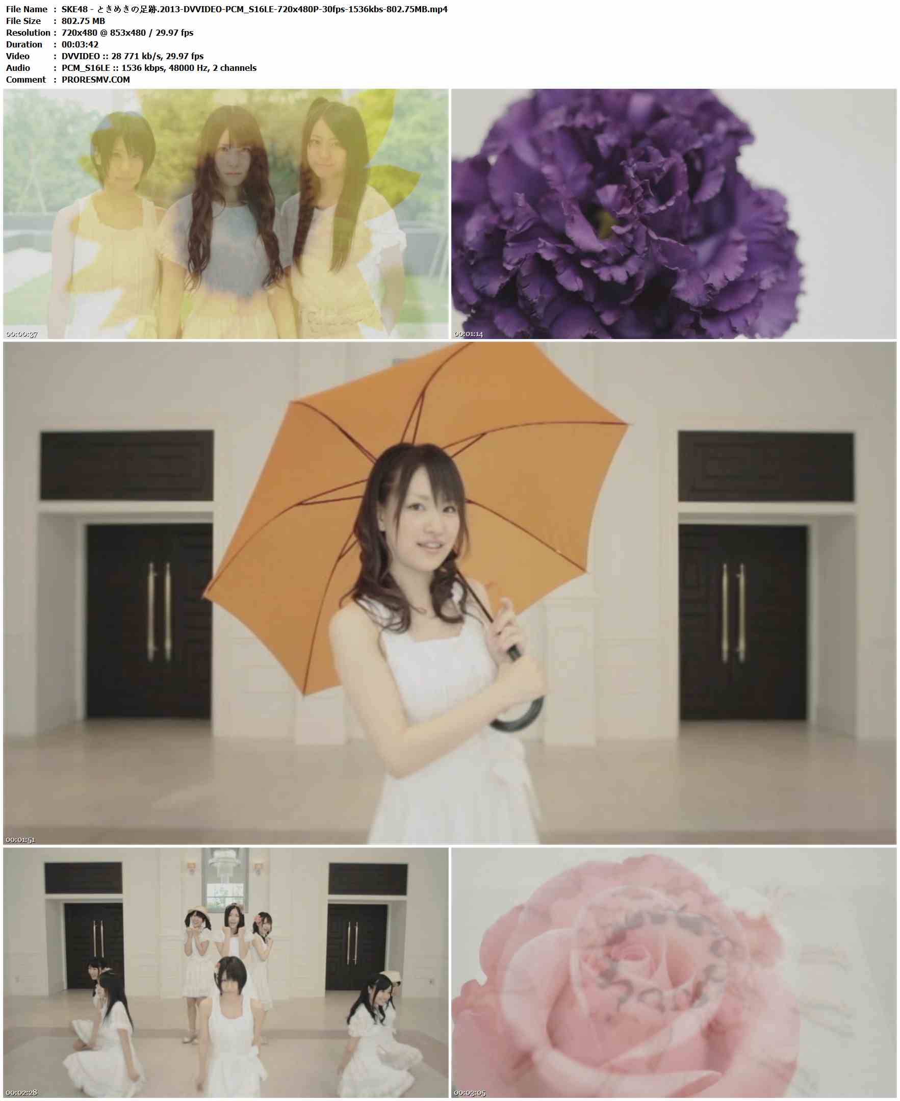 SKE48 - ときめきの足跡.2013-DVVIDEO-PCM_S16LE-720x480P-30fps-1536kbs-802.75MB官方MV_高清MV